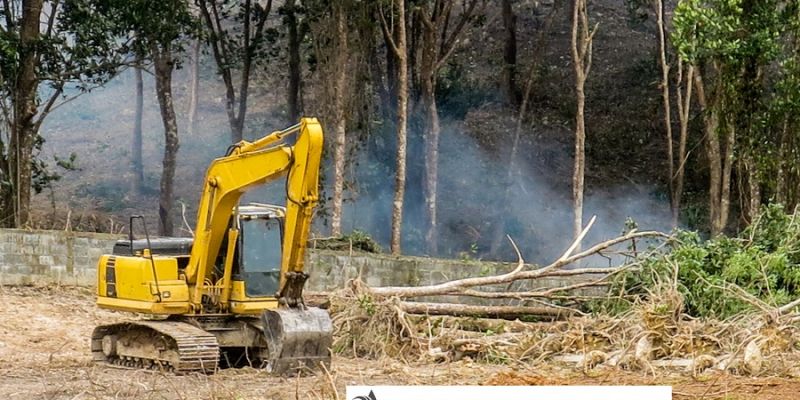 Brisbane Land Clearing Contractor