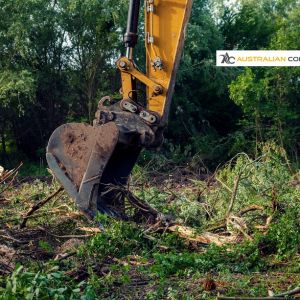 Speak To Our Land Clearing Contractor On The Sunshine Coast